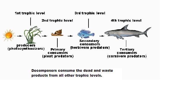 BIO 7 Lecture 32 Preview Biology Diagrams